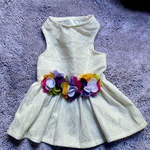 Size small dog dress with flowers.